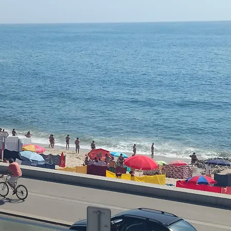Cachinnans & Vila do Conde