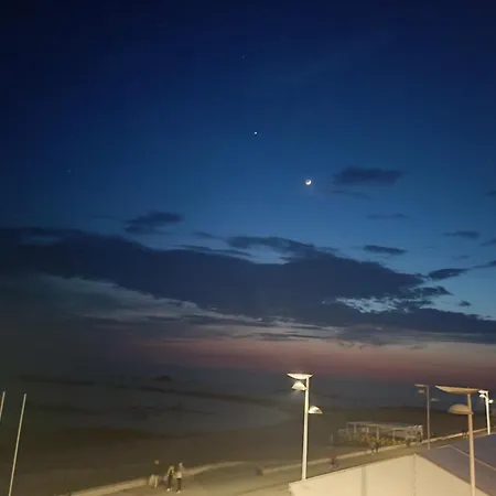 Cachinnans & Vandrerhjem