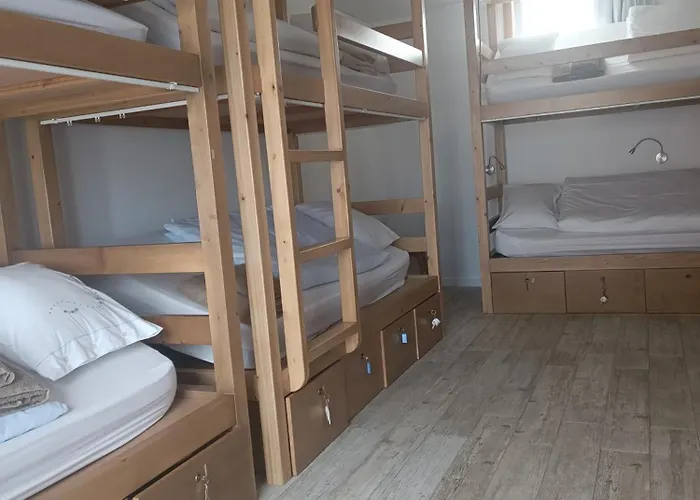 Cachinnans & Ostello *