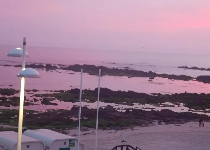 Cachinnans & Ostello Vila do Conde