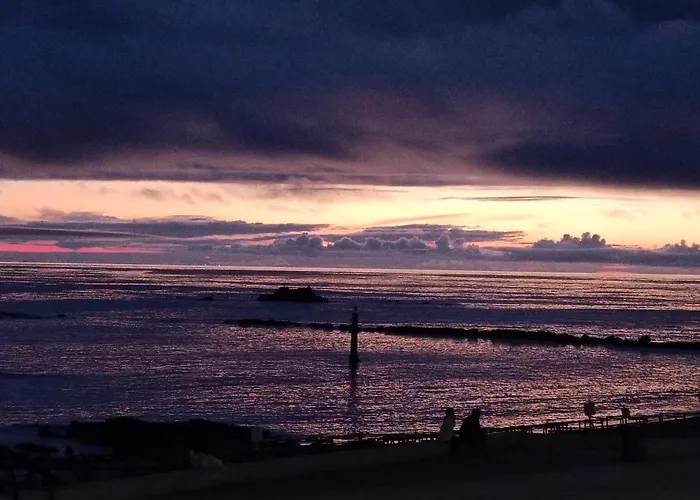 Cachinnans & * Vila do Conde